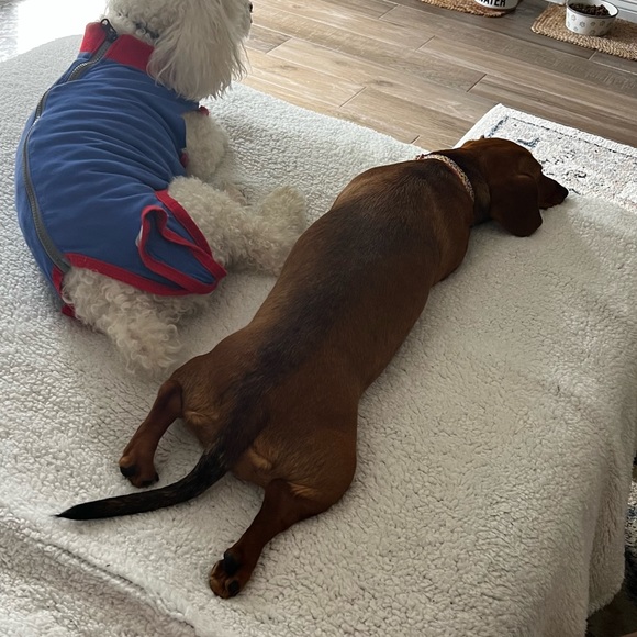 Houston, Tx 🔥 NASA, #1 Medical Center, Astros ⚾️, and Eddie’s Posh Show!!! 🔥 - Picture 10 of 17